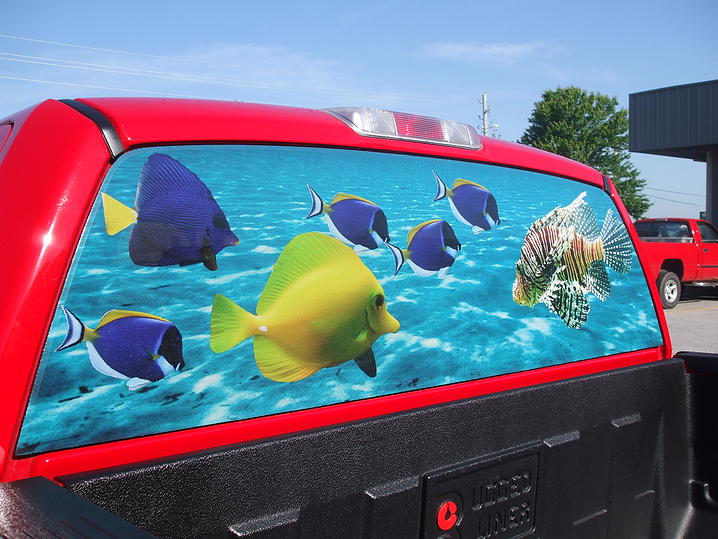 Vehicle Wrap / Graphic 13