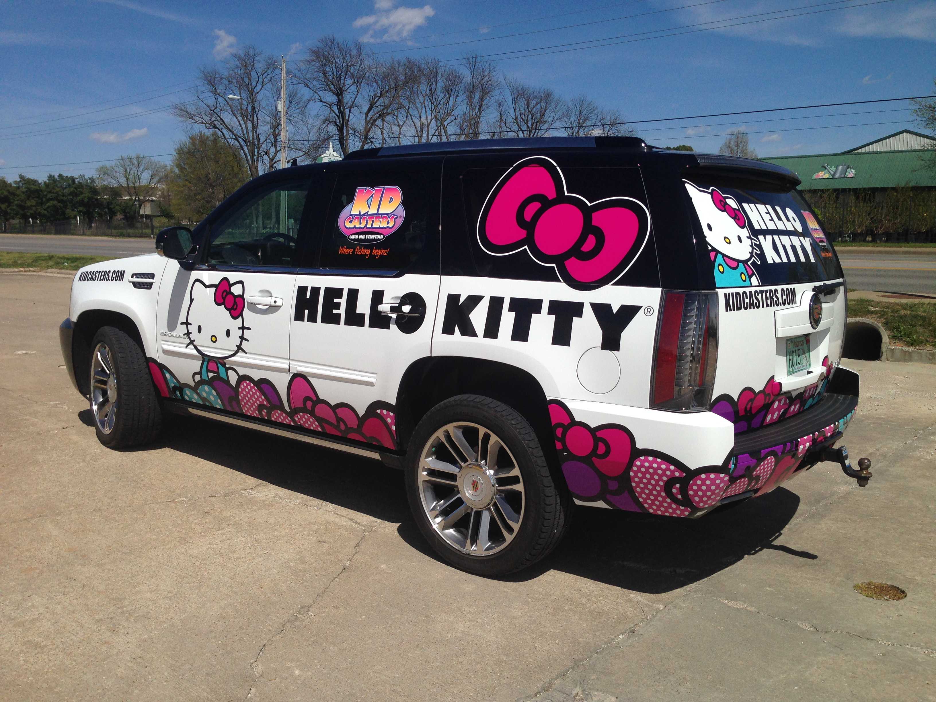 Vehicle Wrap / Graphic 19